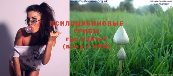 прущие крисы Михайловск