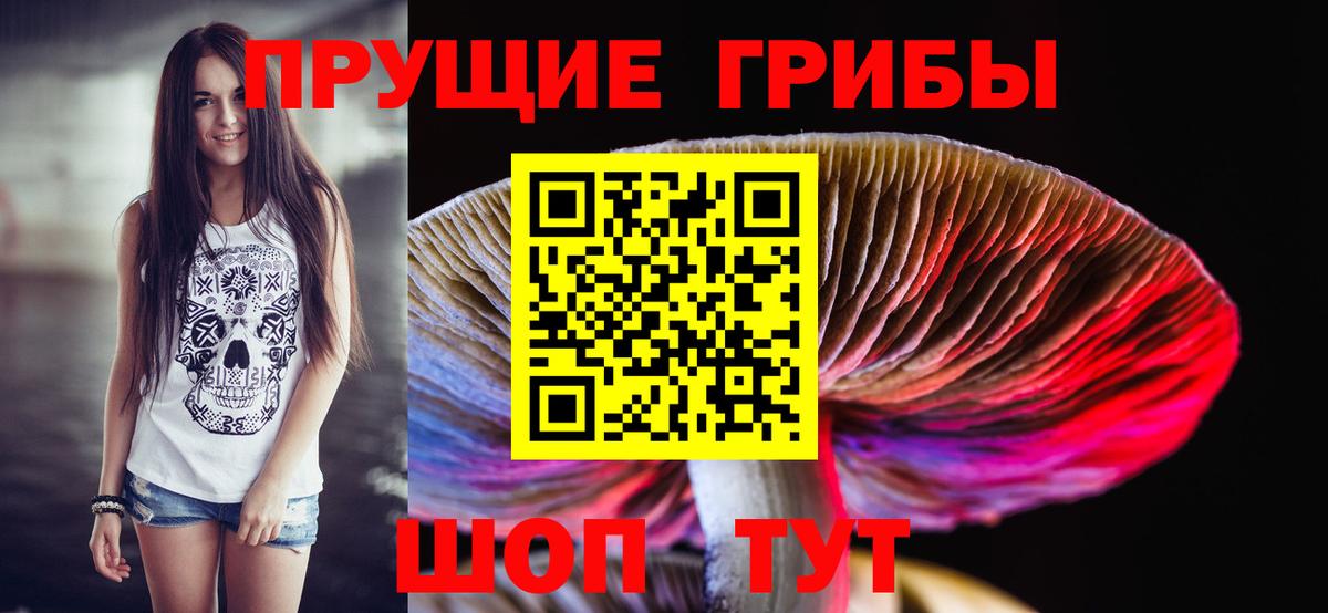 Моршанск  Псилоцибиновые грибы мицелий  Псилоцибиновые грибы MAGIC MUSHROOMS  Вход с VPN 