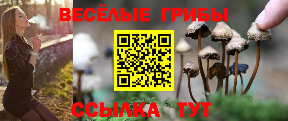 Псилоцибиновые грибы Magic Shrooms Моршанск
