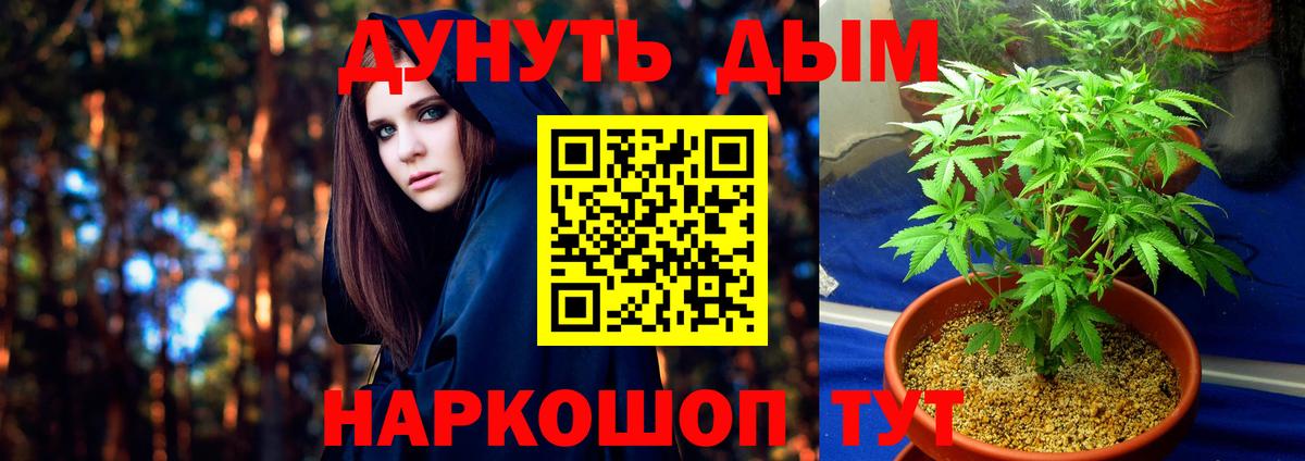 Моршанск  Конопля LSD WEED  Бошки Шишки тримм  Канабис OG Kush  Вход с VPN 